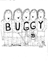 1973 buggy book