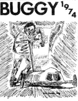 1974 buggy book